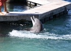0190_IMG_2113_Moorea.JPG