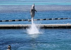 0194_IMG_2119_Moorea.JPG