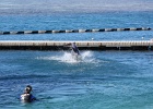0195_IMG_2121_Moorea.JPG