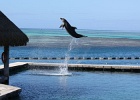 0199_IMG_2129_Moorea.JPG
