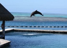 0200_IMG_2130_Moorea.JPG