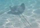 0216_IMG_0951_Moorea.JPG