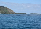 0237_IMG_2139_Moorea.JPG