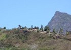 0267_IMG_2184_Moorea.JPG