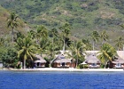 0270_IMG_2187_Moorea.JPG