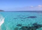 0273_IMG_2190_Moorea.JPG