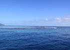 0274_IMG_2191_Moorea.JPG