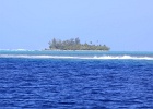 0282_IMG_2203_Moorea.JPG