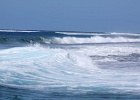 0288_IMG_2210_Moorea.JPG