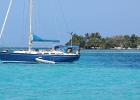 0296_IMG_2218_Moorea.JPG