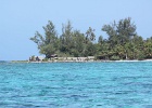 0300_IMG_2222_Moorea.JPG