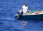 0309_IMG_2246_Moorea.JPG