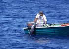 0310_IMG_2247_Moorea.JPG