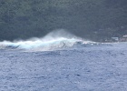 0314_IMG_2251_Moorea.JPG