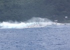 0315_IMG_2252_Moorea.JPG
