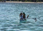 0318_IMG_2260_Moorea.JPG