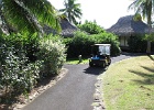 0340_IMG_1062_Moorea.JPG