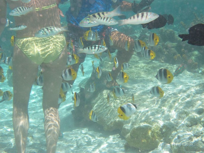 0104 IMG 1217 Raiatea