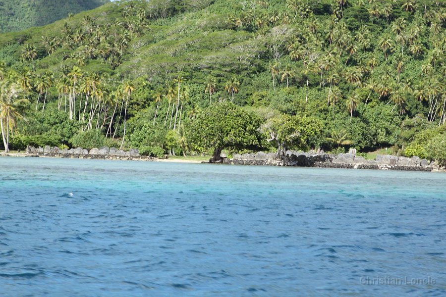 0139 IMG 2419 Raiatea