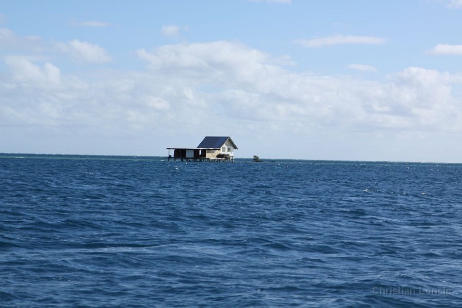 0141 IMG 2421 Raiatea