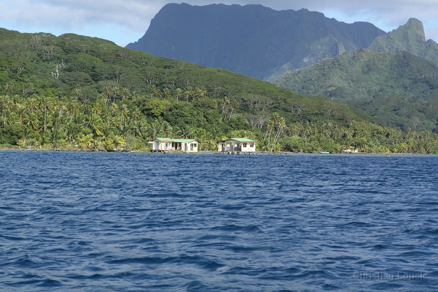 0142 IMG 2426 Raiatea