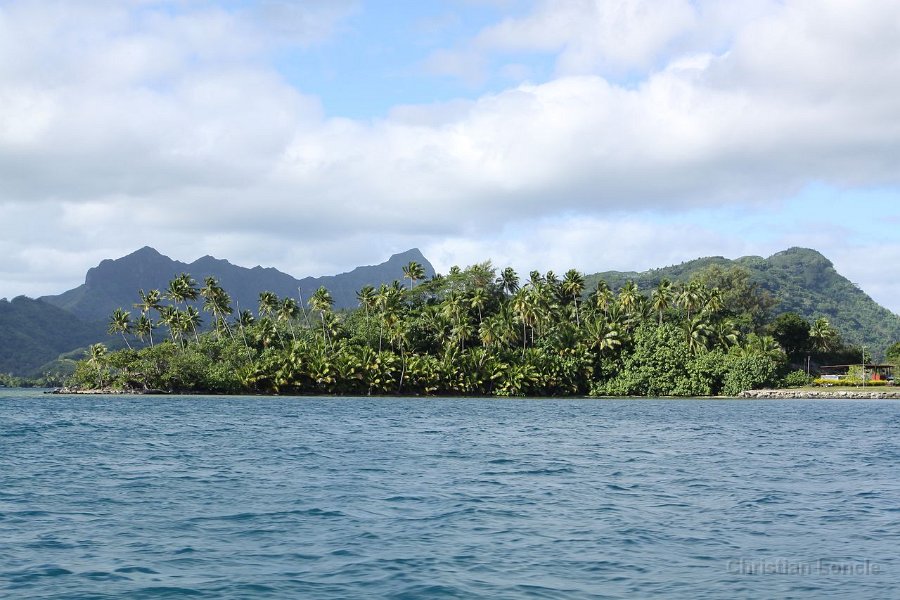 0145 IMG 2437 Raiatea
