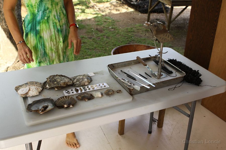 0147 IMG 2439 Raiatea