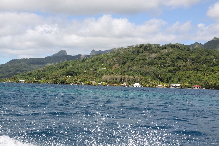 0157 IMG 2476 Raiatea