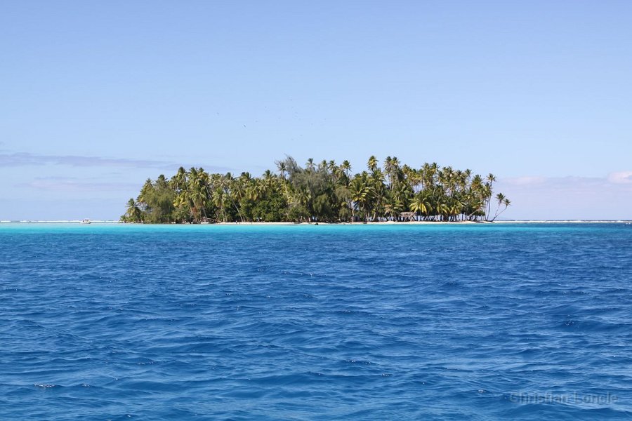 0177 IMG 2575 Raiatea