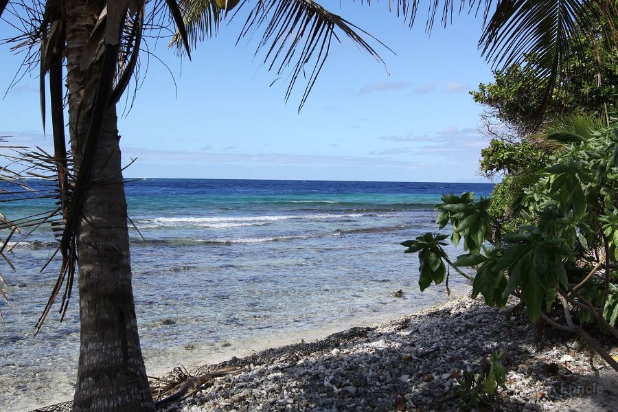 0187 IMG 2595 Raiatea