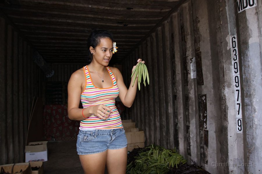 0195 IMG 2634 Raiatea