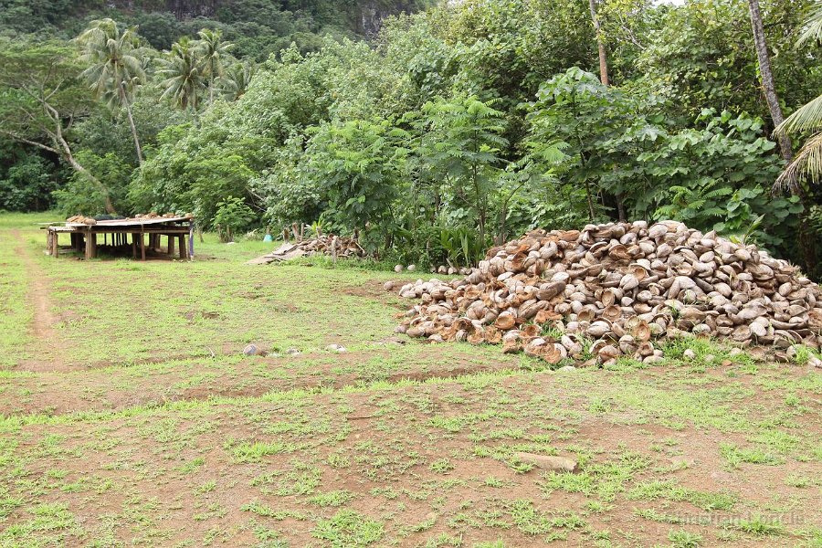 0222 IMG 2664 Raiatea