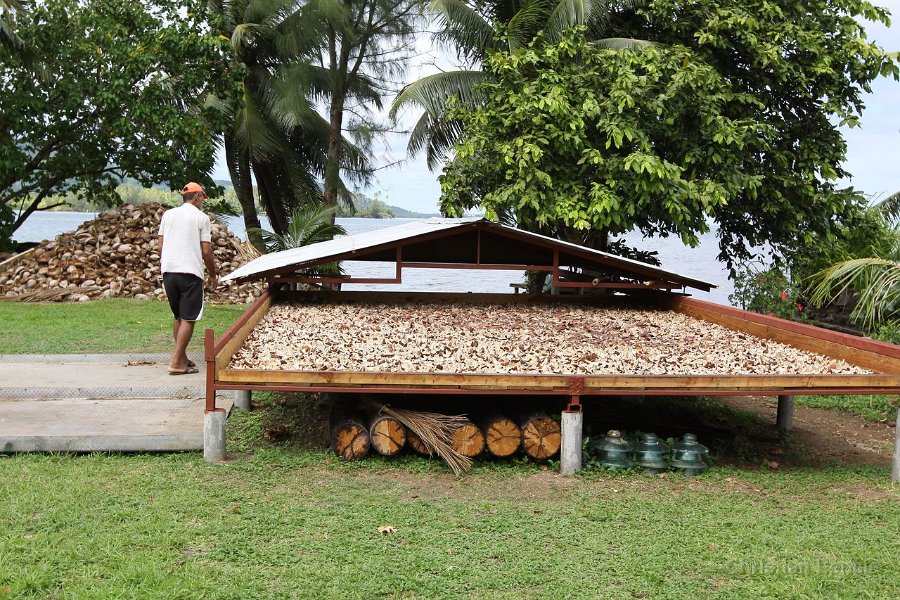 0228 IMG 2677 Raiatea