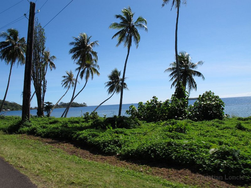 0323 IMG 1408 Raiatea