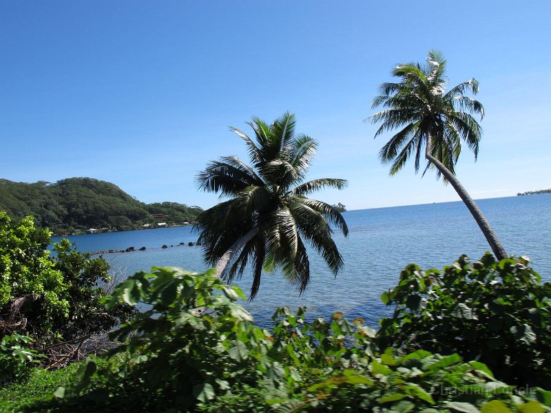 0324 IMG 1409 Raiatea