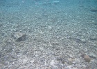 0060_IMG_1150_Raiatea.JPG