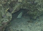 0062_IMG_1158_Raiatea.JPG