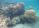 0063_IMG_1161_Raiatea.JPG
