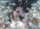 0073_IMG_1187_Raiatea.JPG