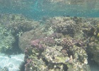 0102_IMG_1212_Raiatea.JPG
