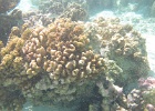 0103_IMG_1213_Raiatea.JPG