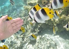 0107_IMG_1224_Raiatea.JPG
