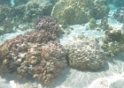 0114_IMG_1238_Raiatea.JPG