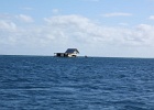 0141_IMG_2421_Raiatea.JPG