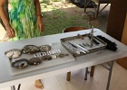 0147_IMG_2439_Raiatea.JPG