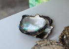 0152_IMG_2446_Raiatea.JPG