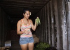 0195_IMG_2634_Raiatea.JPG