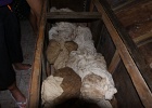 0198_IMG_2637_Raiatea.JPG