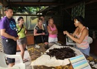 0200_IMG_2639_Raiatea.JPG