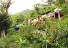 0209_IMG_1341_Raiatea.JPG